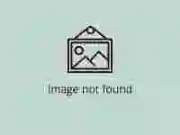 Blandford Cricket Club Logo